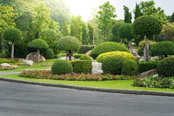 Commercial Landscape architecture in Albuquerque NM Area