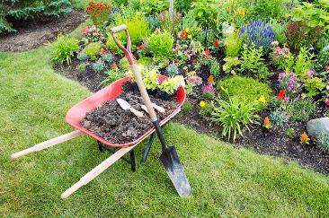Residential New Mexico Landscaping Ideas & Lawn Care