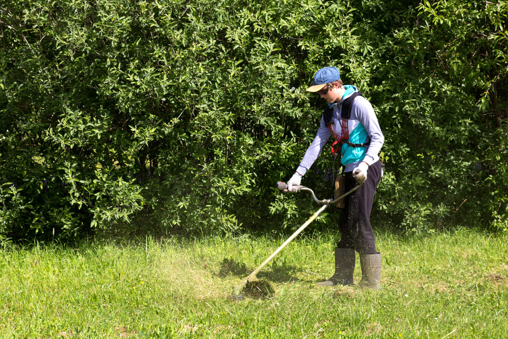 top notch lawn care service Albuquerque NM